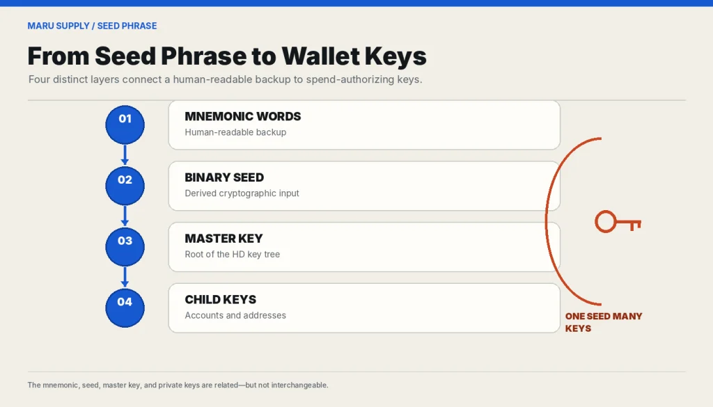 Diagram showing a seed phrase becoming a binary seed, a master key, and child keys.