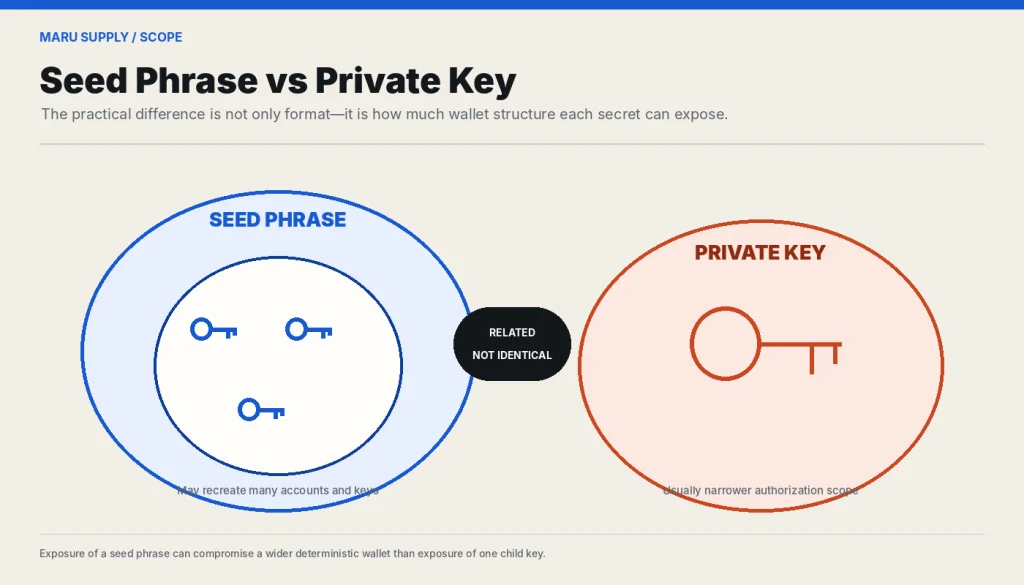 Comparison of seed phrase and private key form, scope, and compatibility.