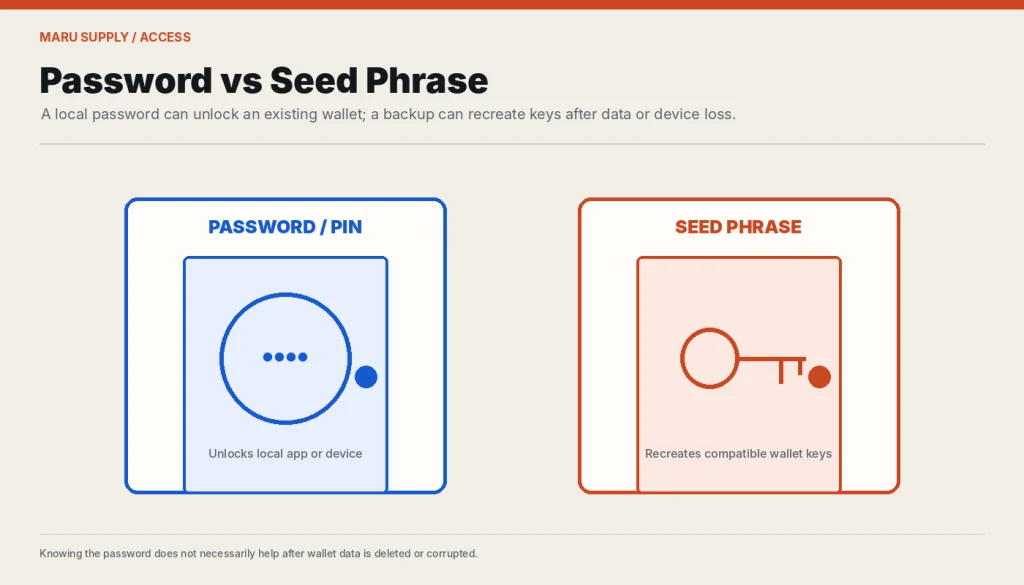 Comparison of a wallet password or PIN with a seed phrase backup.